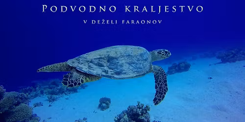 Andrej Voje: Podvodno kraljestvo v de\u017eeli faraonov