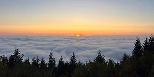 Lacey 5th Ward Choir Practice