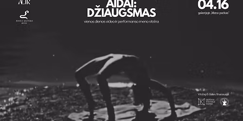  \u201eAidai: D\u017eiaugsmas\u201c | Vizualaus meno vitrina