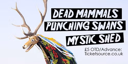 NF presents: Dead Mammals + Punching Swans + Mystic Shed