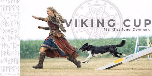 VIKING CUP