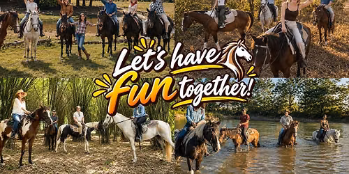 \ud83d\udc0e Trail Horse Riding & New Friends \u2014 Saraburi Day Trip