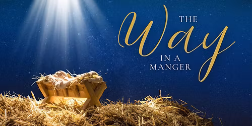 Find Peace This Christmas\u2014The Way in a Manger