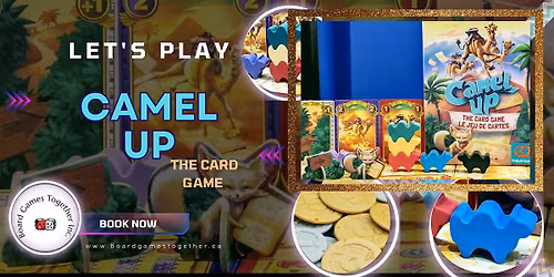 Learn & Play Camel Up!