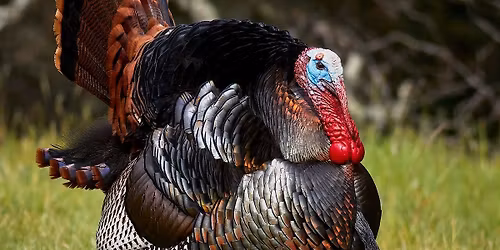 2026 CILS Hunting Heritage Banquet