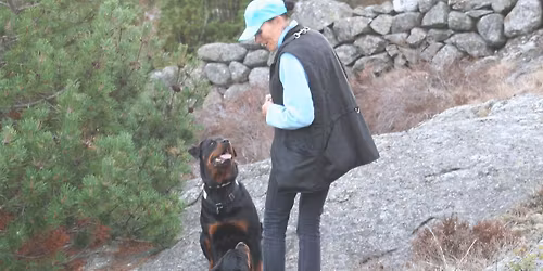 HVERDAGSLYDIGHET OG MILJ\u00d8