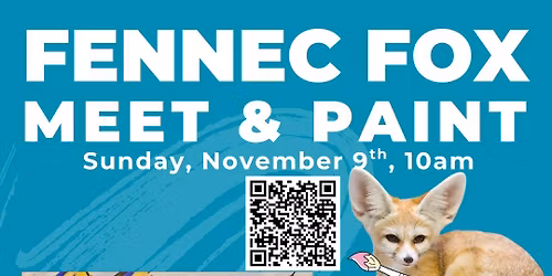 LIVE Animal : Meet Fiona & Phoebe the Fennec Foxes