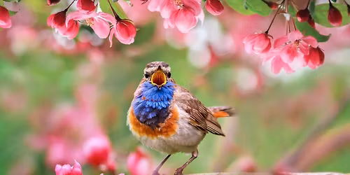 Westminster Spring Roast Beef Supper