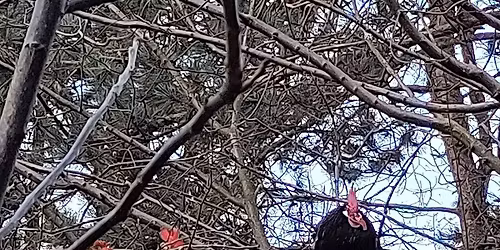 Workshop: Leven op het Ritme van de Kosmos met Carmencita De Ruiter