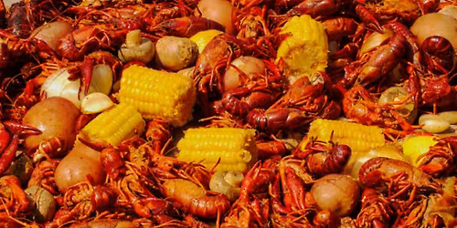 The Lower Garden District Annual Crawfish Boil 2026