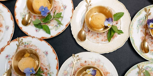 \u2728The Woodlands Supper Club - A Late Summer Nights Dream\u2728