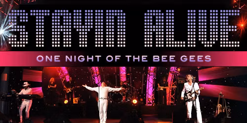 Stayin' Alive: One Night of the Bee Gees