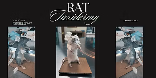 Rat Taxidermy Workshop - Abbotsford, BC