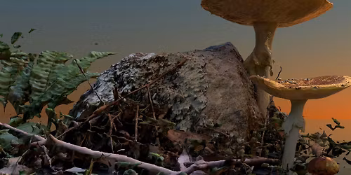 OPENING:  Entangled Grounds