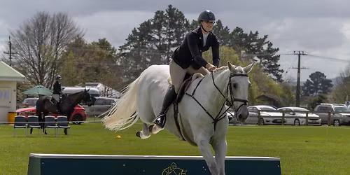 Te Aroha Hack & Hunters Practice Show Jumping Day