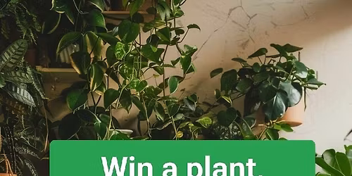Plant Bingo 