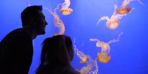 Behind the Scenes Tour