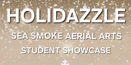 2025 HOLIDAZZLE \u2744\ufe0f Sea Smoke Aerial Arts ~ Student Showcase