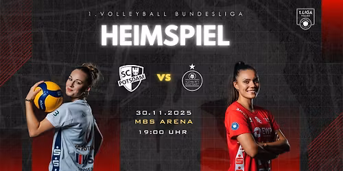 SC Potsdam - Allianz MTV Stuttgart