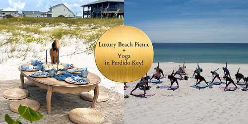 Luxury Beach Picnic+Yoga in Perdido Key, FL 