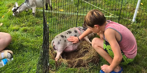 Petting Zoo Pilates on the Farm