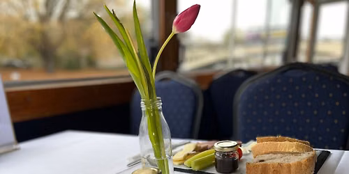 A Cruise with a Light Lunch 