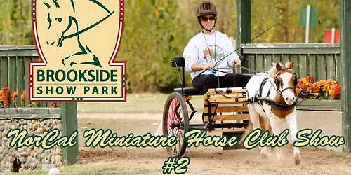 NORCAL MINIATURE HORSE CLUB SHOW #2