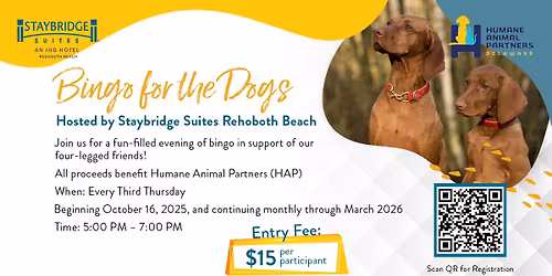 Bingo for the Dogs | Hosted by Staybridge Suites Rehoboth Beach | Co-Host Humane Animal Partner HAP
