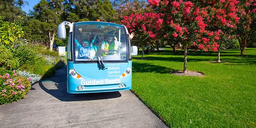 Garden Buggy Tours 2026