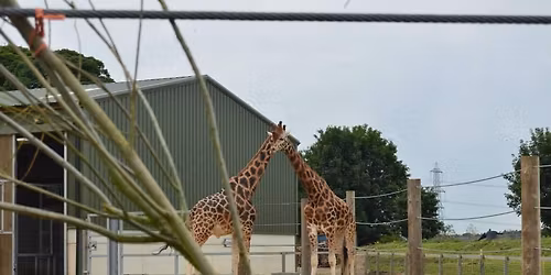 Yorkshire Wildlife Park