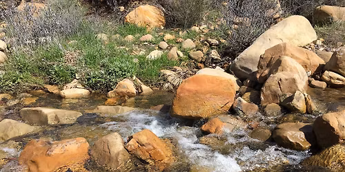 Ventura Network Meeting