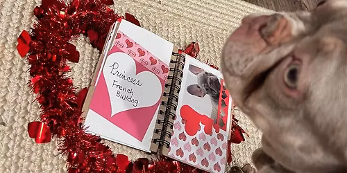 Scrapbook Rodeo \ud83d\ude2c\ud83d\udcf8\ud83e\udd20