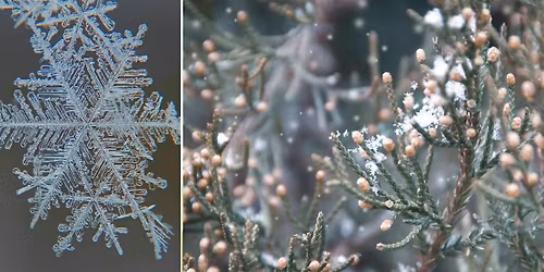 Snowflake Science (Ages 4+)