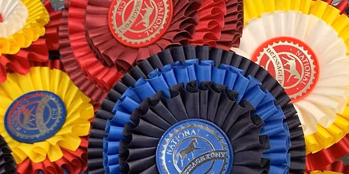 The National Dressage Pony Cup & Small Horse Championships