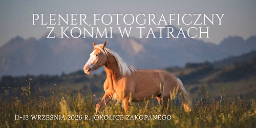 Plener fotograficzny z końmi w Tatrach