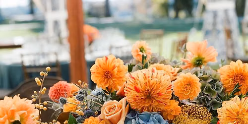 November meeting {Thanksgiving\/Holiday flower arranging}