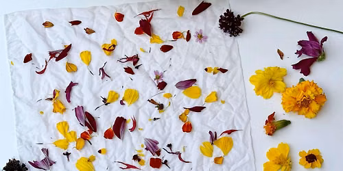 Family Workshop: Natural Dyed Silk Scarves