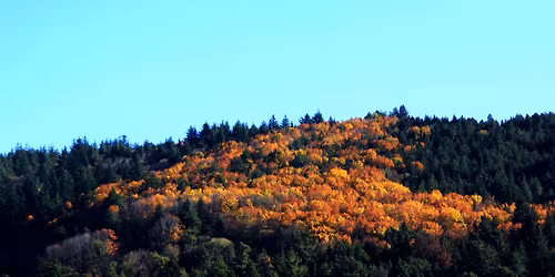 Caminhada Liter\u00e1ria: \u201cA Pr\u00e1tica da Natureza Selvagem\u201d | Bosques da Lous\u00e3