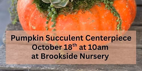 Pumpkin Succulent Workshop to Benefit Wellspring 