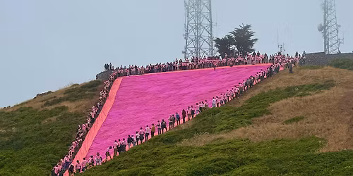 PINK TRIANGLE of Twin Peaks