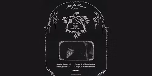 Not for Radio - winter in the garden