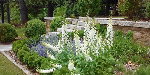 Callanwolde Spring Plant Sale Day 2 of 2