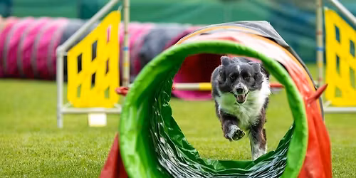 Farm\u00e1rsky beh labiek 2026