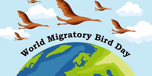 World Migratory Bird Day Hike