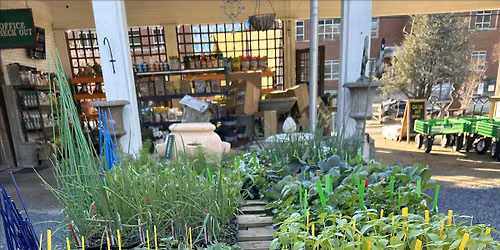 Cut and Come Again Herb Pot Workshop