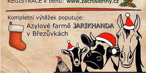 Dobro\u010dinn\u00fd V\u00e1no\u010dn\u00ed b\u011bh - Edice Lenny & Dany (LoveIsland 2025) 