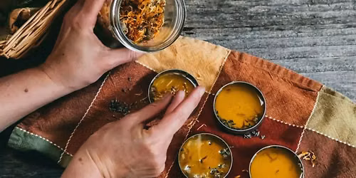 Plant Healers for Skin: Crafting Infused Oils & Salves