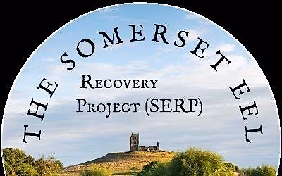FREE talk: The Somerset Eel Recovery Project