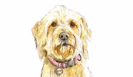 Paint your pet beginners water color workshop