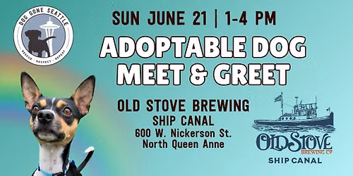 Adoptable Dog Meet & Greet At Old Stove Brewing